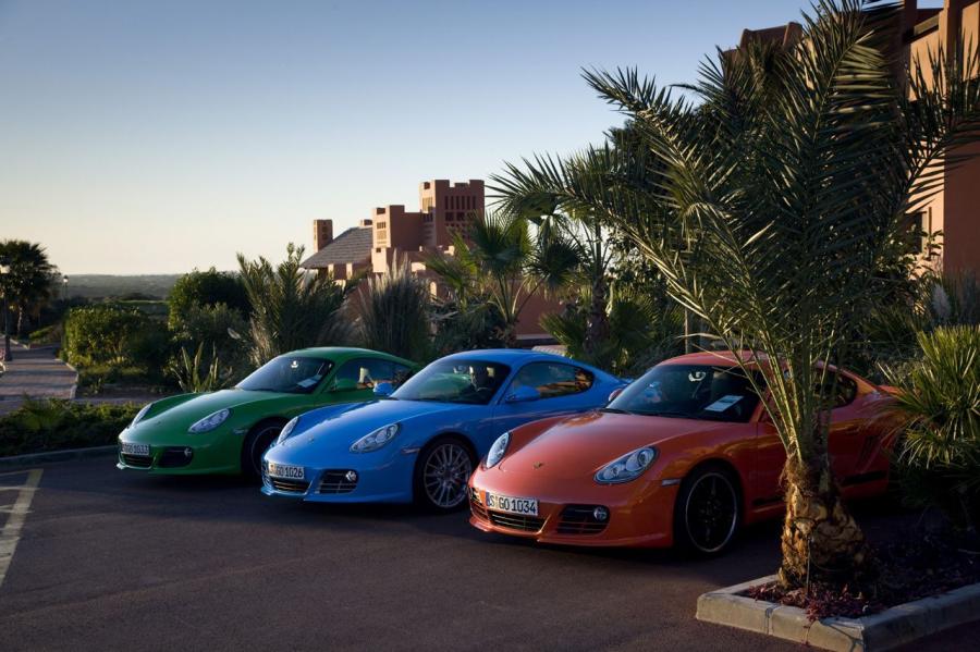  Porsche Cayman S 2010 года  (фото 74 из 77)